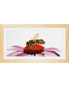 Набор для вышивания на льне Пчела на эхинацее канва лен 36 ct арт 549 Thea gouverneur