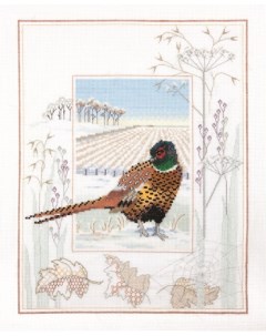 Набор для вышивания Pheasant арт WIL7 Derwentwater designs