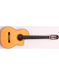 Электроакустическая гитара Cutaway Model 169 Prudencio saez