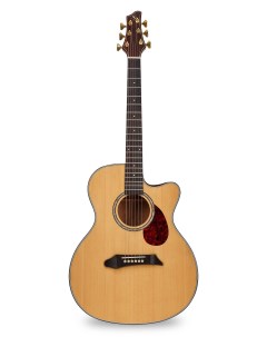 Акустическая гитара NG GM411SC NA чехол в комплекте National geographic
