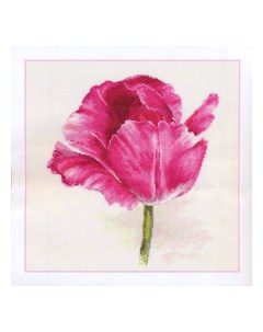 Набор для вышивания Тюльпаны Малиновое сияние22х26 см 2 43 Alisa