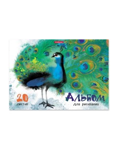 Альбом для рисования на клею Птицы жарких стран А4 20 листов Erich krause