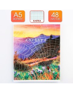Предметная тетрадь 48 листов ПРИРОДА со справочными материалами Алгебра обложка мелов Nobrand
