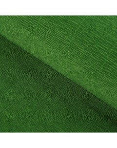 Бумага гофрированная 991 Зелёный лист 50 смх2 5 м Nobrand