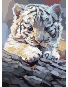 Картина по номерам Бенгальский тигренок на бревне 30x40 см Цветной