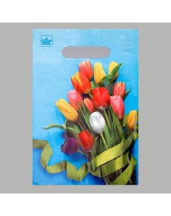 Пакет Тюльпаны полиэтиленовый с вырубной ручкой 20 х 30 см 30 мкм 100 шт Тико-пластик