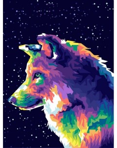 Картина по номерам Космический волк PNB C3 62 Freya