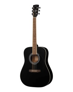 Акустическая гитара черная с чехлом W81 WBAG BKS Parkwood