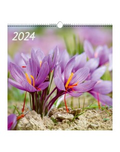 Календарь настенный Цветы на 2024 год на спирали 320 х 320 мм Listoff