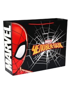 Пакет горизонтальный Человек паук 50х40х15 Marvel