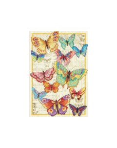 Набор для вышивания Красота бабочек 123639 Dimensions