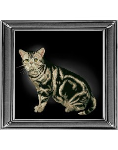 Набор для вышивания мулине КРАСА И ТВОРЧЕСТВО Американская короткошерстная кошка 28х28 см Красота и творчество