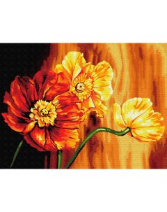 Картина по номерам Знойные цветы 30x40 см Цветной
