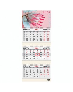 Календарь квартальный на 2024г 3 блока 3 гребня с бегунком мелбум Protea 115290 Brauberg