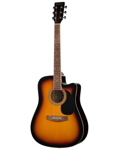 Акустическая гитара F601 BS Caraya