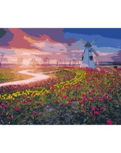 Картина по номерам Тюльпановое поле Лори