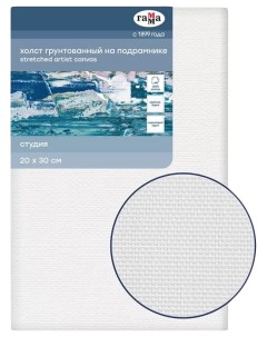 Холст на подрамнике Студия 20х30 см 100 хлопок крупное зерно Gamma