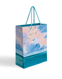 Пакет подарочный Gift Bag FLUFFY SKY 18х23х10см Lorex