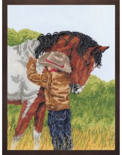 Набор для вышивания Любимый конь 008 0209 Janlynn