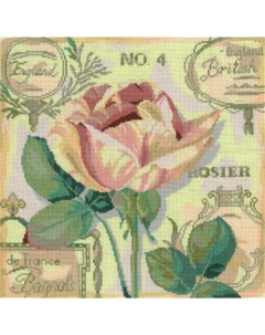 Набор для вышивания Английская роза 25х25 см Nitex