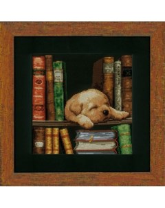 Набор для вышивания Собачка спящая на книжной полке 20 x 26см 0150978 PN Vervaco