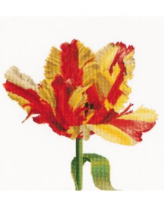 Набор для вышивания 519 Красно желтый тюльпан Thea gouverneur