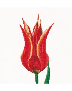 Набор для вышивания 515 Красный тюльпан Thea gouverneur