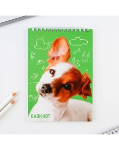Блокнот Собака формат А5 40 листов картонная обложка мягкая Nobrand