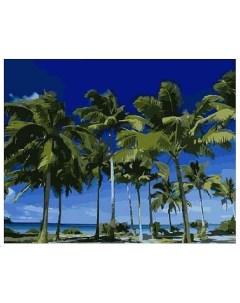Картина по номерам Кокосовые пальмы 40х50 см Mariposa