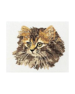 Набор для вышивания на льне Длинношерстная кошка 930 Thea gouverneur