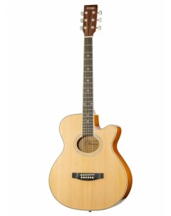 Акустическая гитара LF 401C N Colombo