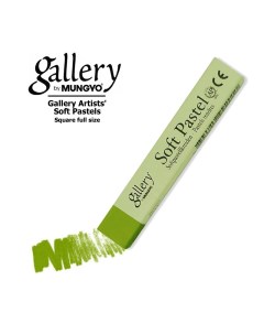 Пастель мягкая квадратная GALLERY Artists Soft 025 Зеленый лиственный Mungyo