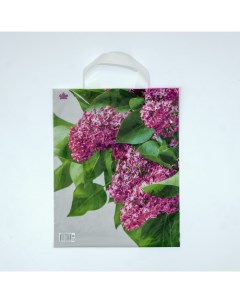 Пакет Сиреневый цвет полиэтиленовый с петлевой ручкой 35х28 см 55 мкм 50 шт Тико-пластик