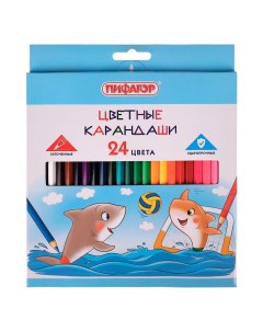 Карандаши цветные Акула 24 цвета классические заточенные 160г Пифагор