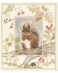 Набор для вышивания Red Squirrel арт WIL4 Derwentwater designs