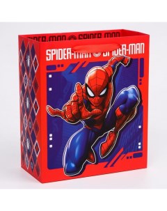 Пакет вертикальный Spider Man Человек паук 23х27х11 5 см Marvel
