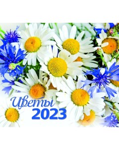 Календарь домик евро Цветы Маркет на 2023 год 306357 Nd play