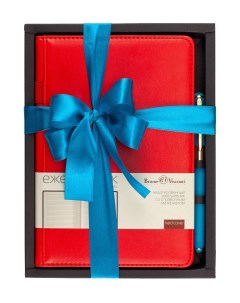 Набор подарочный Polo Красный ежедневник и ручка Арт 3 515 05 2 Bruno visconti
