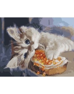 Картина по номерам Бутерброд для котенка холст на подрамнике 40х50 см GX43381 Paintboy