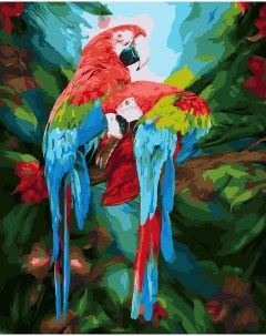 Картина по номерам на подрамнике Попугаи Ара 40х50 GX34486 Paintboy