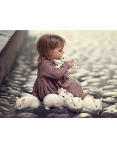 Картина по номерам Девочка с крольчатами холст на подрамнике 40х50 см GX42776 Paintboy
