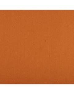 Ткань фетр Premium 33х53 2 см ST 07 оранжевый Gamma