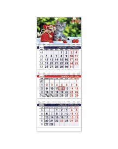 Календарь квартальный с бегунком офис Котенок 2023 год 3 блока 3 гребня Hatber