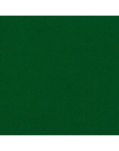 Ткань фетр FKC22 20 30 5 шт 052 ярко зеленый Blitz