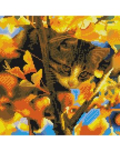 Алмазная мозаика Кот на дереве Molly