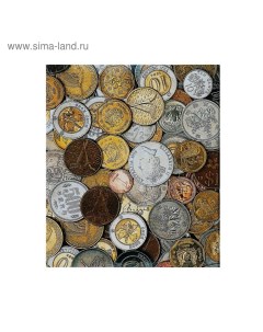 Альбом для монет на кольцах формат Оптима 225 х 265 мм Calligrata входит до 20 л обл ла Nobrand