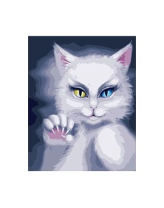 Картина по номерам Кошка с разноцветными глазами 40х50см VA 2041 Colibri