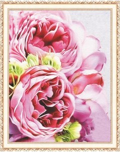 Алмазная мозаика Розовые пионы круглые стразы холст на подрамнике 40х50 см HWA4708 Paintboy