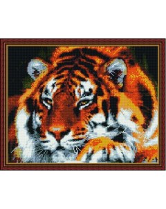 Алмазная мозаика Задумчивый тигр круглые стразы холст на подрамнике 40х50 см CK4362 Paintboy