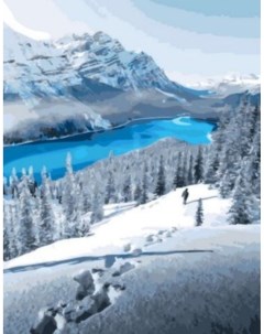 Картина по номерам Сказочная зима холст на подрамнике 40х50 см GX42301 Paintboy